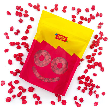 French Burnt Peanuts Candy | 1 Pound Bag | Crunchy Coated Peanuts | Old Fashioned Treat for Snacking and Gifting | Red Candy with Roasted Peanut Center