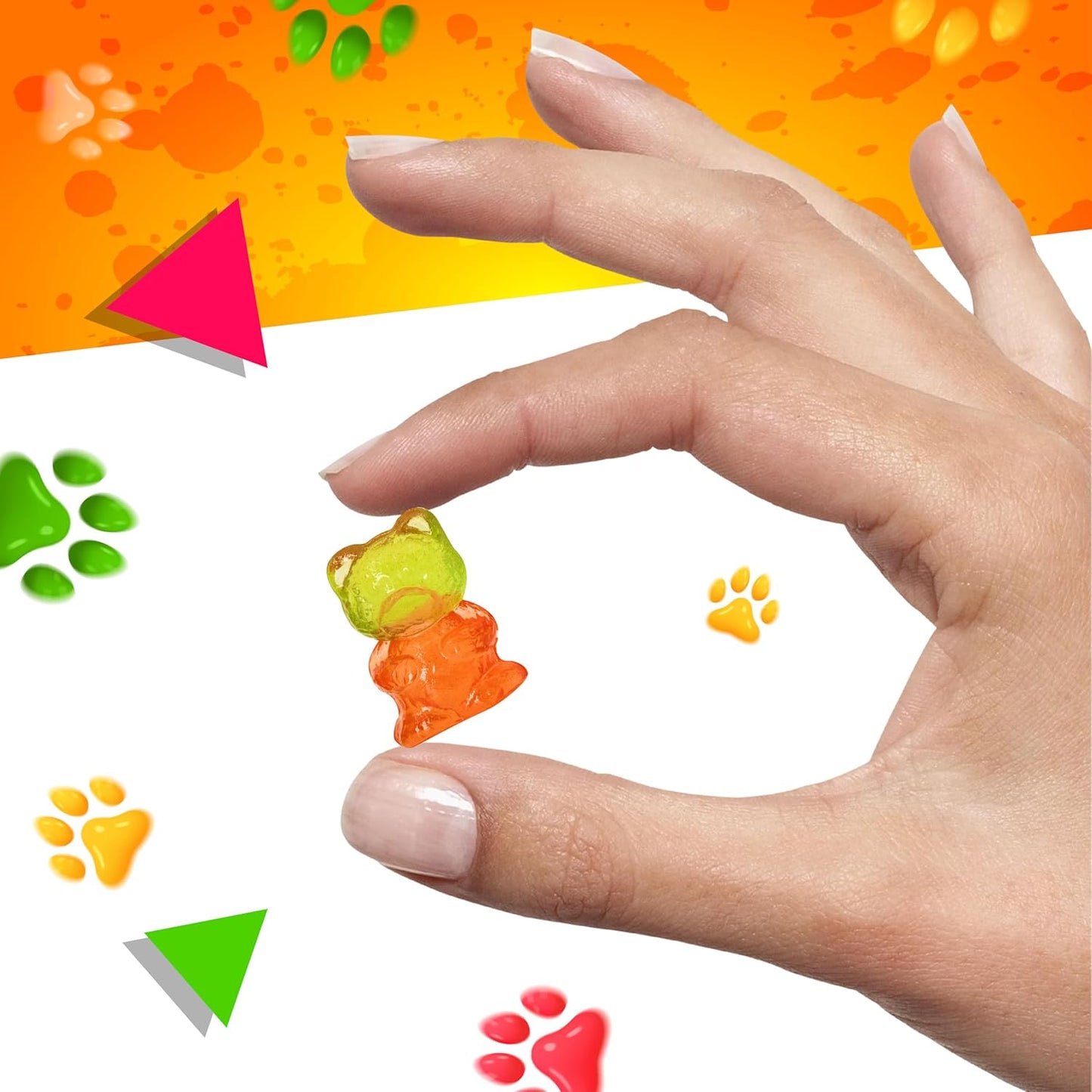 Sugar-Free Gummi Bears | 1 Pound Bag | 3D Candy in Assorted Fruit Flavors