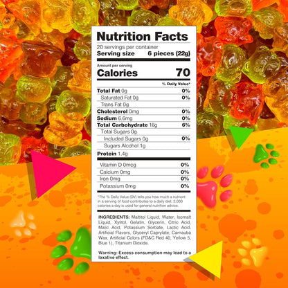 Sugar-Free Gummi Bears | 1 Pound Bag | 3D Candy in Assorted Fruit Flavors