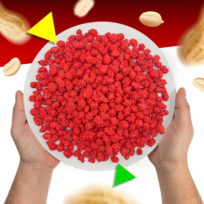 French Burnt Peanuts Candy | 1 Pound Bag | Crunchy Coated Peanuts | Old Fashioned Treat for Snacking and Gifting | Red Candy with Roasted Peanut Center